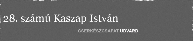 Kaszap Istvan Cserkeszcsapat